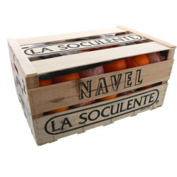 ORANGE LA SOCULENTE CAL2 16,5KG